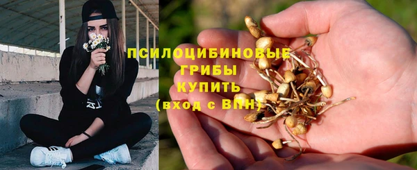 метадон Армянск