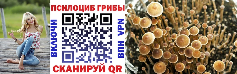 Псилоцибиновые грибы GOLDEN TEACHER  купить наркоту  Армянск 